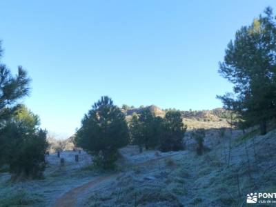 Cerros de Alcalá de Henares - Ecce Homo;puente almudena cain picos de europa castillo de gredos niev